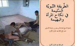 سيدة عشتار بن علي .. ما يجوز ولا يجوز في نكاح البهيمة والعجوز