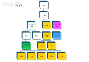الشكل رقم 2: شجرة عائلة علي ومحمد حسب دراستنا.