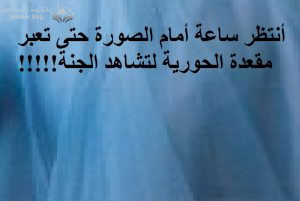 مقعدة حورية الجنة عرضها ميل أى مايعادل 1609متر من الأرض