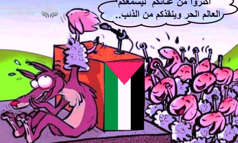 " شيء ما غير عادي حدث هذه المرة ".. هجوم إسرائيلي على شيخ الأزهر أحمد الطيب الحساني