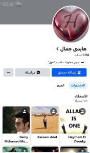 السيدة الإرهابية /  هايدي جمال 