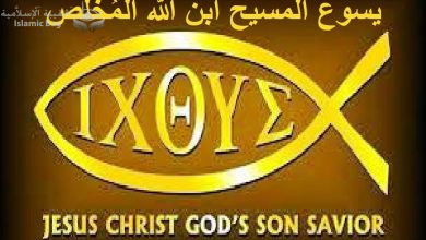 نافع شابو و عادل حنالله  .. إضاءات تاريخية على بدايات الإسلام - الجزء السادس عشر 